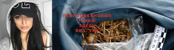 альфа пвп Краснотурьинск