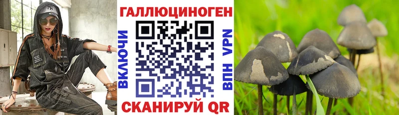Псилоцибиновые грибы Magic Shrooms  Бийск 